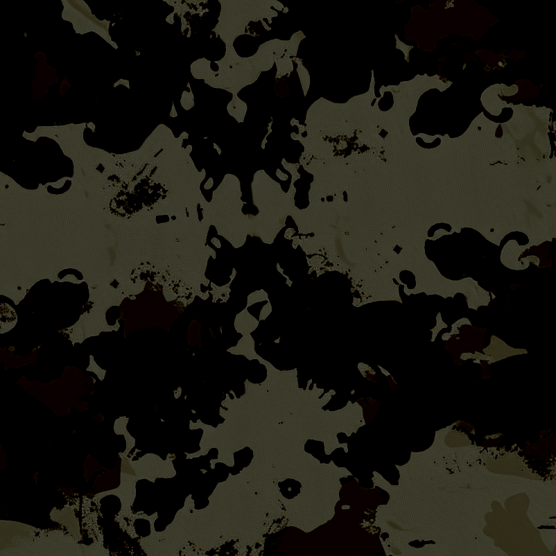 DxW: Corpus women's rash guard, 0600