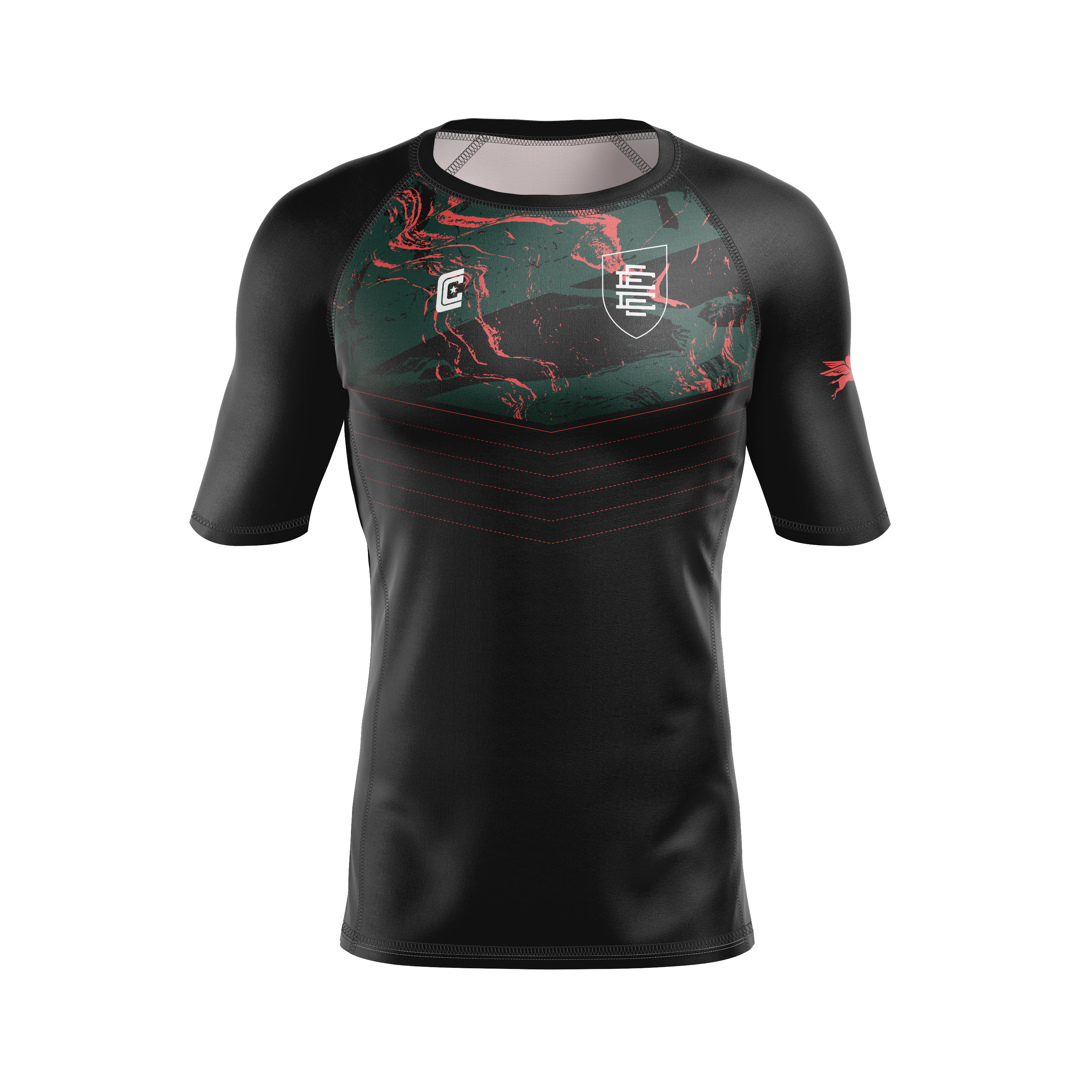 CCFC Zombie Flamingos men's rash guard, midnight green /pink