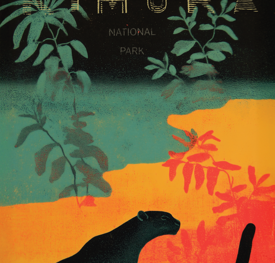 DxW: KNP Panther women's rash guard